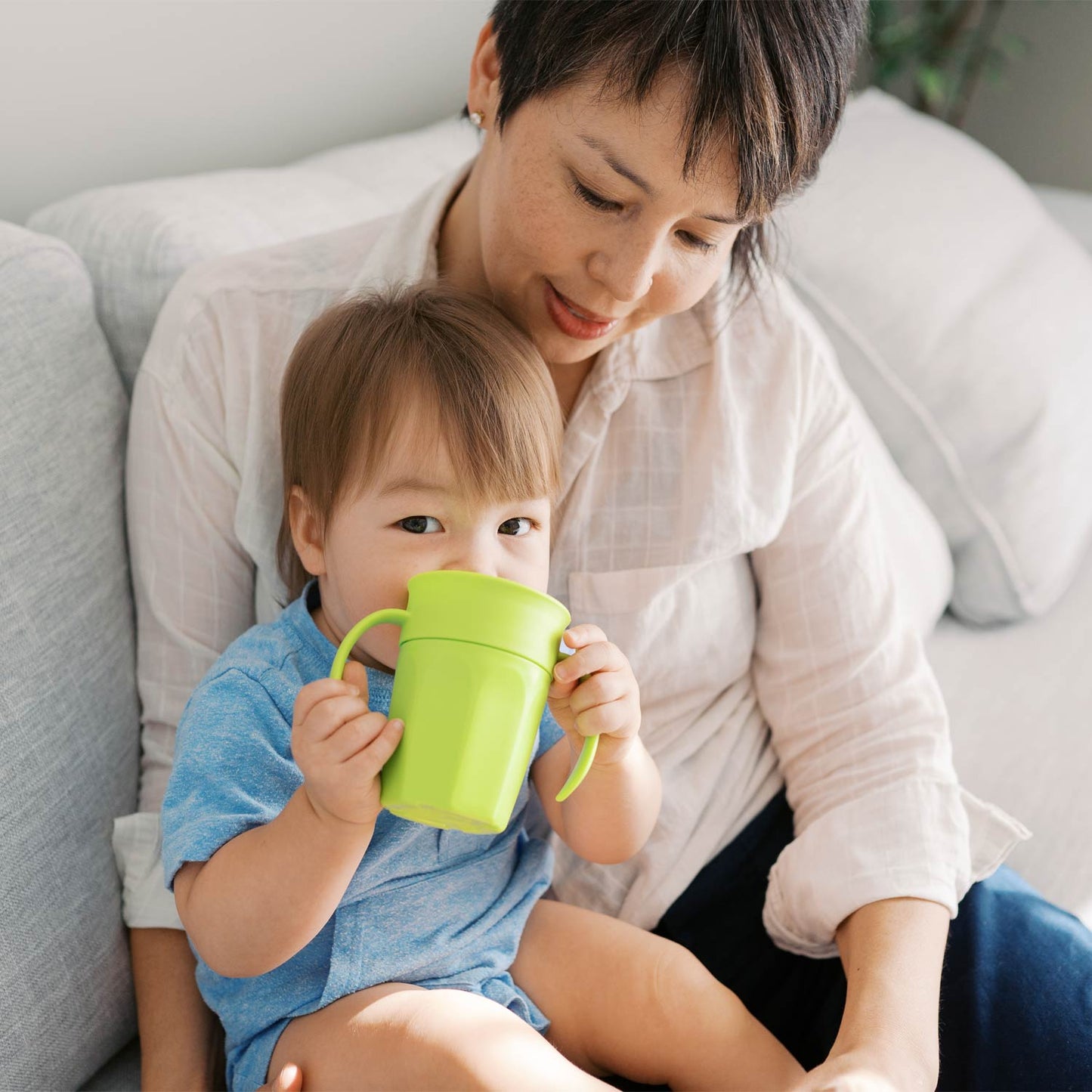 Dr. Brown’s® Milestones™ Cheers360™ Cup with Handles, 7 oz/200 mL